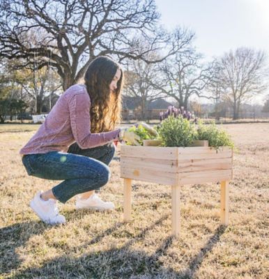 Image showing  Wooden Raised Garden Planter with 4-Way Divider, 18.5 in. x 18.5 in. x 20 in.