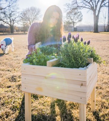 Image showing  Wooden Raised Garden Planter with 4-Way Divider, 18.5 in. x 18.5 in. x 20 in.