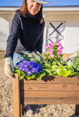 Image showing  Raised Garden Planter with Rustic Stain