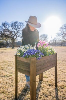 Image showing  Raised Garden Planter with Rustic Stain