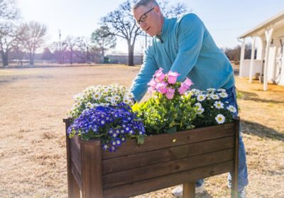 Image showing  Raised Garden Planter with Rustic Stain