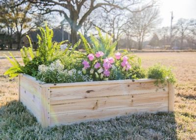 Zylina Superior Raised Garden Bed