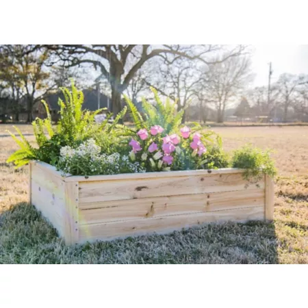 Zylina Superior Raised Garden Bed Raised Garden Beds