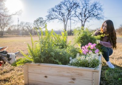 Image showing  Superior Wooden Raised Garden Bed, 46 in. x 35 in. x 12 in.