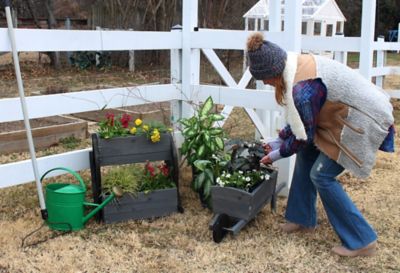 Image showing  Rustic Wheelbarrow Outdoor Planter
