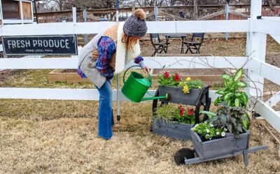 Image showing  Rustic Wheelbarrow Outdoor Planter