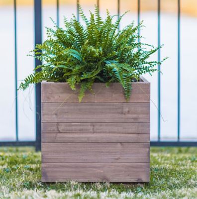 Zylina Indoor/Outdoor Trough Planter - Tall