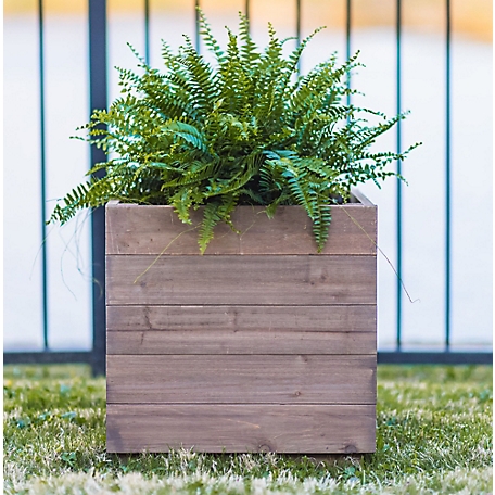 Zylina Indoor/Outdoor Trough Planter - Tall