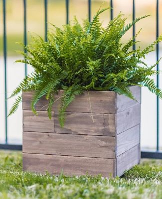 Zylina Indoor/Outdoor Trough Planter - Medium