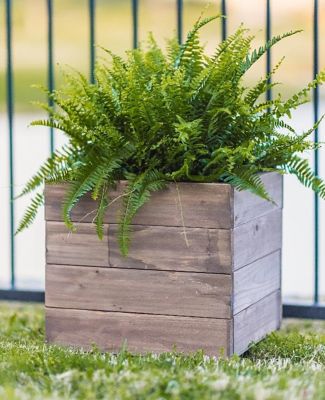 Zylina Indoor/Outdoor Trough Planter, Medium