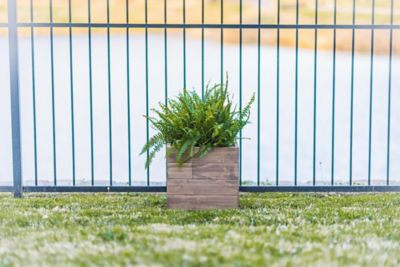 Image showing  Indoor/Outdoor Trough Planter, Medium