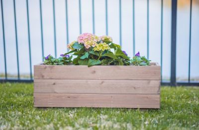 Image showing  Indoor/Outdoor Trough Planter, Long