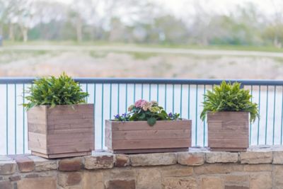 Image showing  Indoor/Outdoor Trough Planter, Long