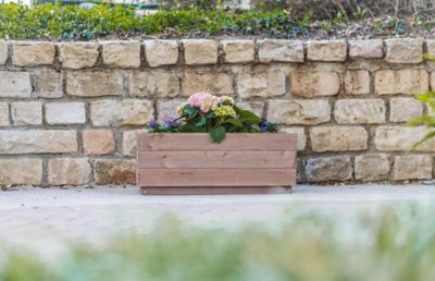Image showing 6 th Zylina Indoor/Outdoor Trough Planter, Long