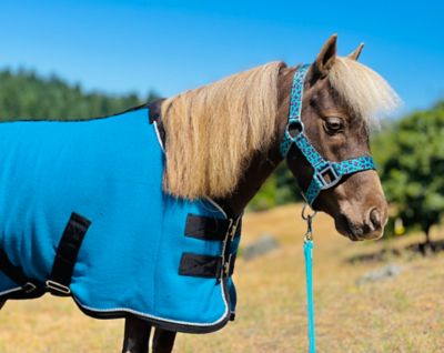 Star Point Horsemanship 1200D Fleece Miniature Horse-Pony Cooler/Blanket Liner