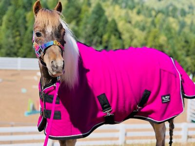 Image showing  1200D Fleece Miniature Horse-Pony Cooler/Blanket Liner