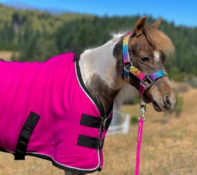Star Point Horsemanship 1200D Fleece Miniature Horse-Pony Cooler/Blanket Liner