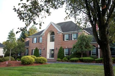 Image showing 2.929 gal. Black/Green Compacta Holly #3 Tree