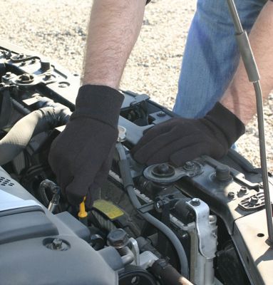 Image showing  Men's Polyester Jersey Gloves, 12-Pairs