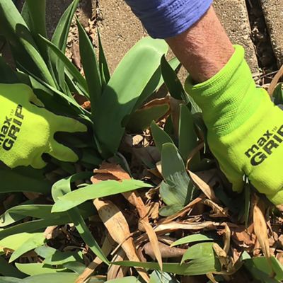 Image showing  Max Grip Gloves, 3 Pairs