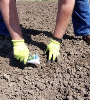 Image showing  Max Grip Gloves, 3 Pairs