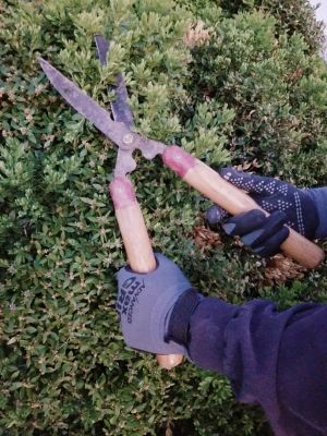 Image showing  Unisex Nylon Advanced Max Grip Gloves, 3-Pairs