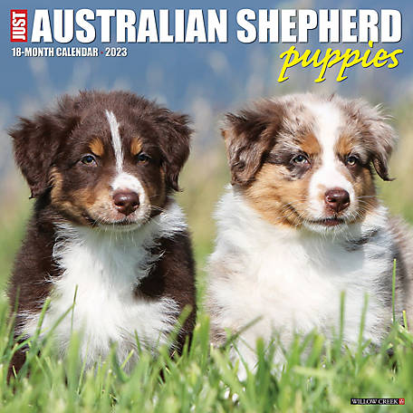 Australian Shepherd Aussie Dog laser cut wood Magnet 