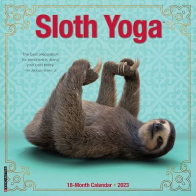 Willow Creek Press Sloth Yoga 2023 Wall Calendar, 27738 at Tractor Supply  Co.