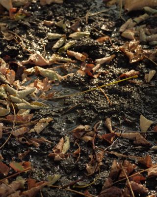 Image showing  Weatherproof Top Spiral Notebook, 3 in. x 5 in., Green Cover, Universal Pattern