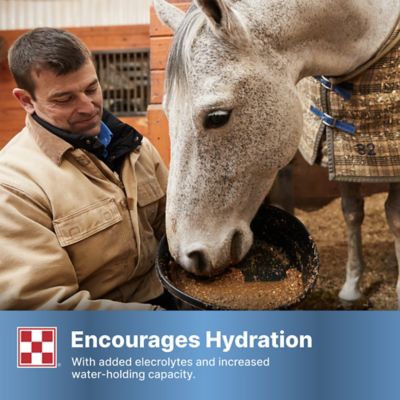 Image showing 5 th Purina RepleniMash Horse Product