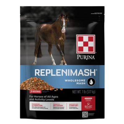 Image showing  RepleniMash Horse Product