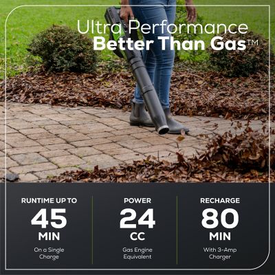 Image showing  60V Cordless 13 in. String Trimmer and 125 MPH 450 CFM Leaf Blower Combo Kit, 4 Ah Battery and Charger, 2 pc.