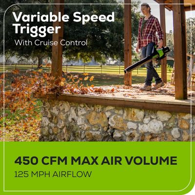 Image showing 6 th Greenworks 60V Cordless 13 in. String Trimmer and 125 MPH 450 CFM Leaf Blower Combo Kit, 4 Ah Battery and Charger, 2 pc.