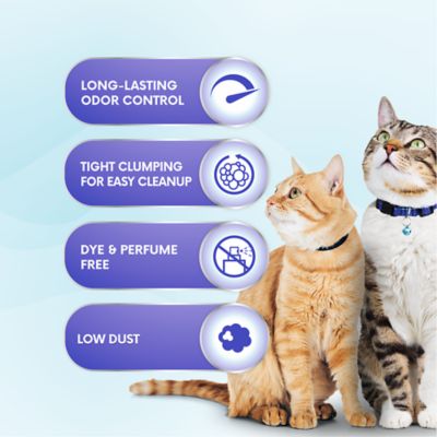 Image showing  Lightweight Unscented Clumping Clay with Baking Soda Cat Litter, 10 lb. Jug