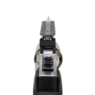 Image showing  Exterminator BB Revolver, Chrome