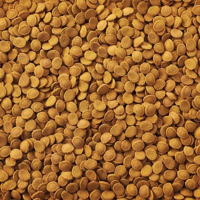 Image showing  Wafers for Sharks and Cory Catfish