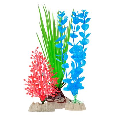 Image showing  Plants Small-Medium, 3 pk.
