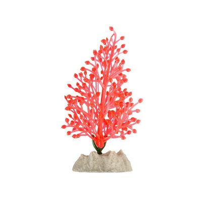 Image showing  Plants Small-Medium, 3 pk.