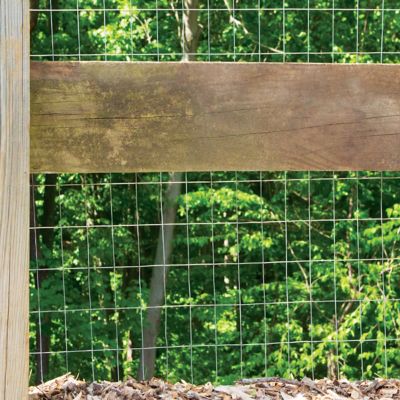 Image showing  60 in. x 50 ft. Welded Wire Fence with 2 in. x 3 in. Openings