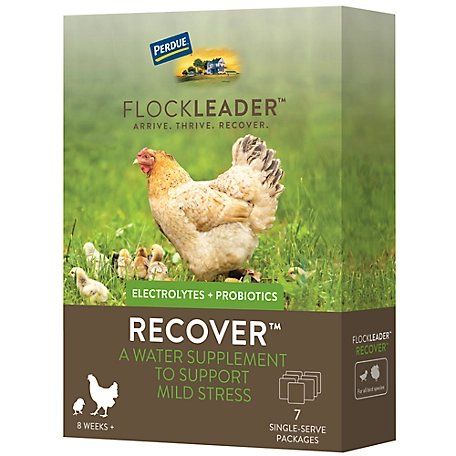 FlockLeader Recover Mild Stress Poultry Supplement, 8 oz.