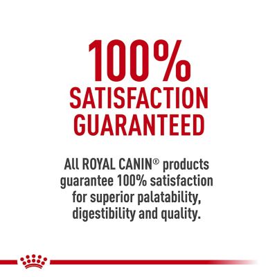 Image showing 8 th Royal Canin Feline Care Nutrition Urinary Care Adult Dry Cat Food