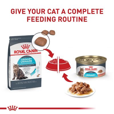 Image showing 9 th Royal Canin Feline Care Nutrition Urinary Care Adult Dry Cat Food
