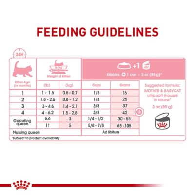 Image showing 5 th Royal Canin Feline Health Nutrition Mother and Babycat Mousse in Sauce Wet Cat Food 3 oz., 12 pk.