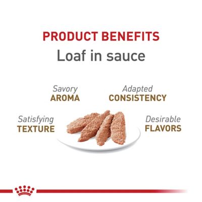 Image showing  Aging 12+ Loaf in Sauce Wet Cat Food, 5.1 oz.