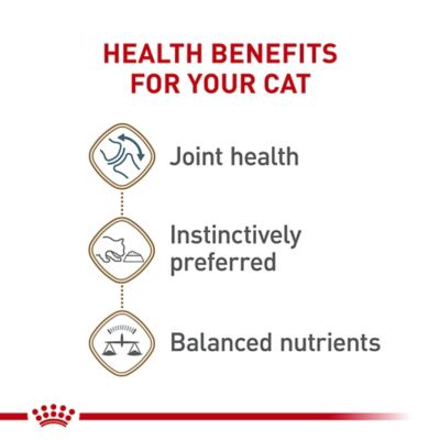 Image showing  Aging 12+ Loaf in Sauce Wet Cat Food, 5.1 oz.