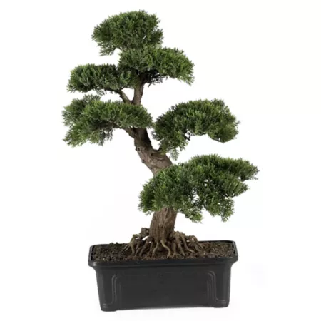 24" Nearly Natural Cedar Bonsai Silk Plant Artificial Plants & Flowers