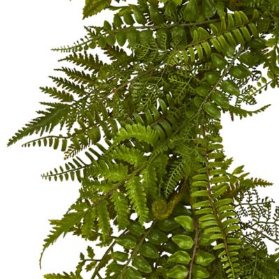 Image showing  24 in. Artificial Mixed Fern Wreath