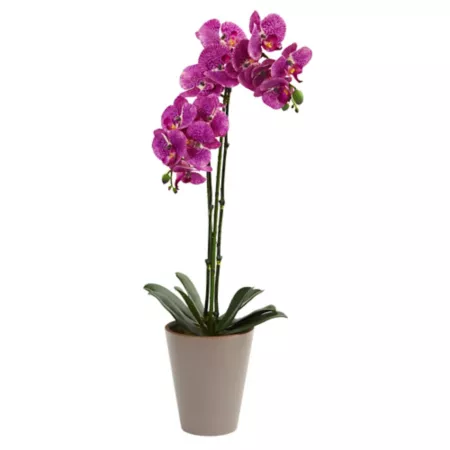 24" Almost Natural Artificial Speckled Phalaenopsis Orchid Arrangement Artificial Plants & Flowers