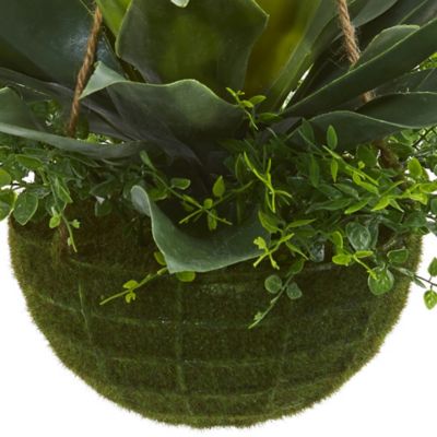 Image showing  13 in. Artificial Indoor/Outdoor Agave and Maiden Hair Plant in Hanging Basket