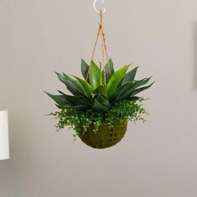 Image showing  13 in. Artificial Indoor/Outdoor Agave and Maiden Hair Plant in Hanging Basket